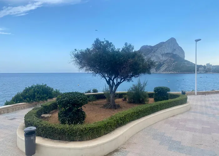 El Capricho De Frida *